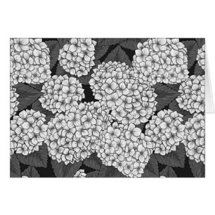 Cartão Hídricas brancas