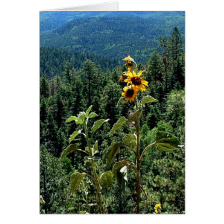 Cartão High Road to Taos