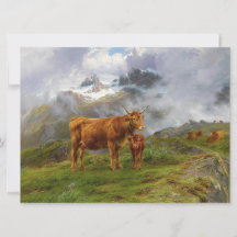 Highland Cattle (por Rosa Bonheur)