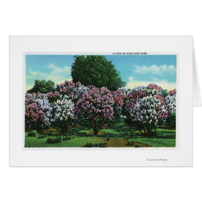 Cartão Highland Park Lilacs em Bloom (Frente Horizontal)