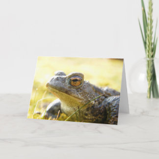 Cartão Hill End Toad