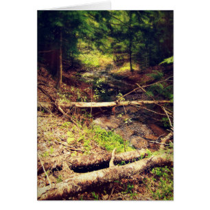 Cartão Hilton Creek