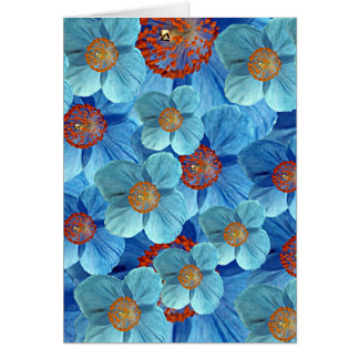 Cartão Himalaia azul da flor da papoila