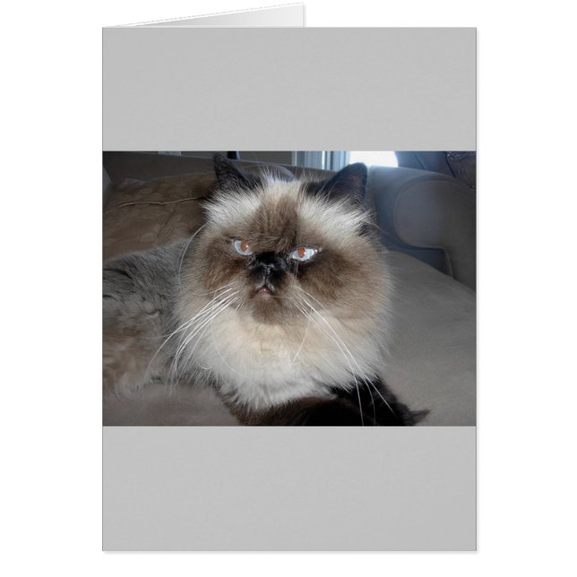 Cartão Himalayan (Frente)