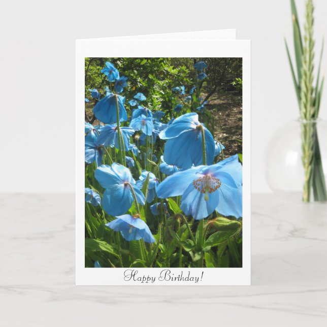 Cartão Himalayan Blue Poppy Birthday Card (Frente)