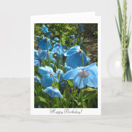 Cartão Himalayan Blue Poppy Birthday Card