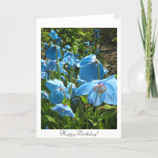 Cartão Himalayan Blue Poppy Birthday Card
