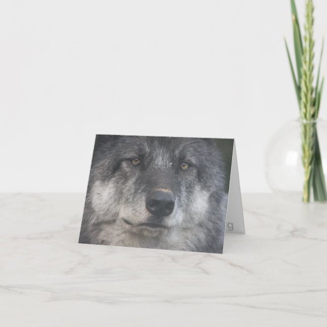 Cartão Himtuuqin Note Card (Frente)