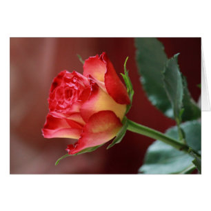 Cartão Hindi - Eu te amo