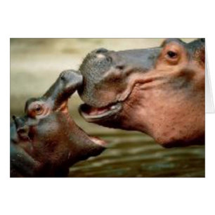 CARTÃO HIPPO