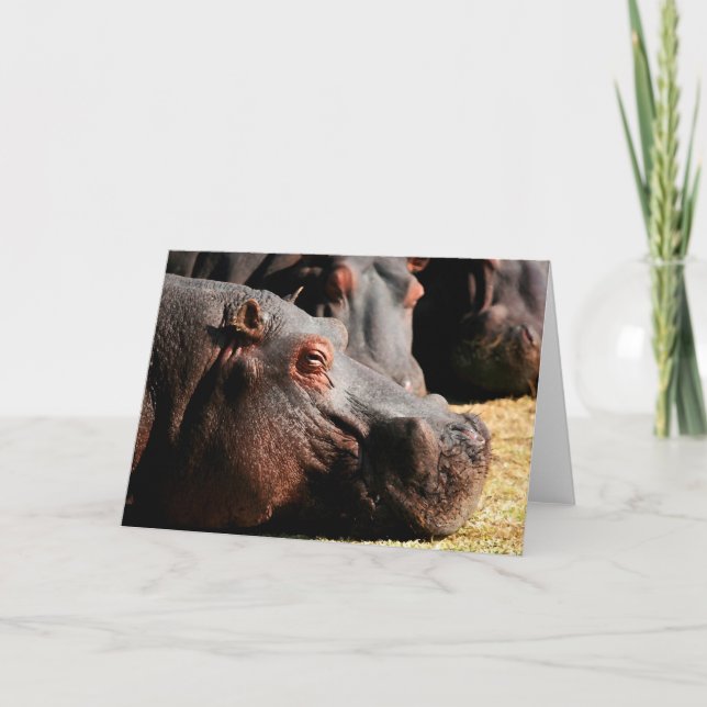 Cartão Hippo attitude customizable card (Frente)