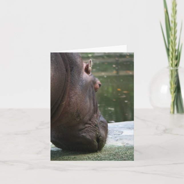 Cartão Hippo Notecard famoso (Frente)