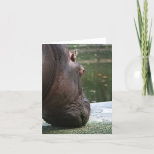 Cartão Hippo Notecard famoso