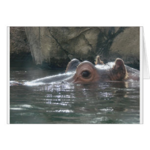 Cartão Hippo Peek a Boo