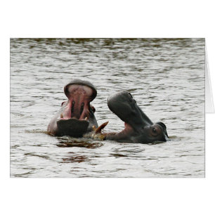 Cartão Hippos brincando.