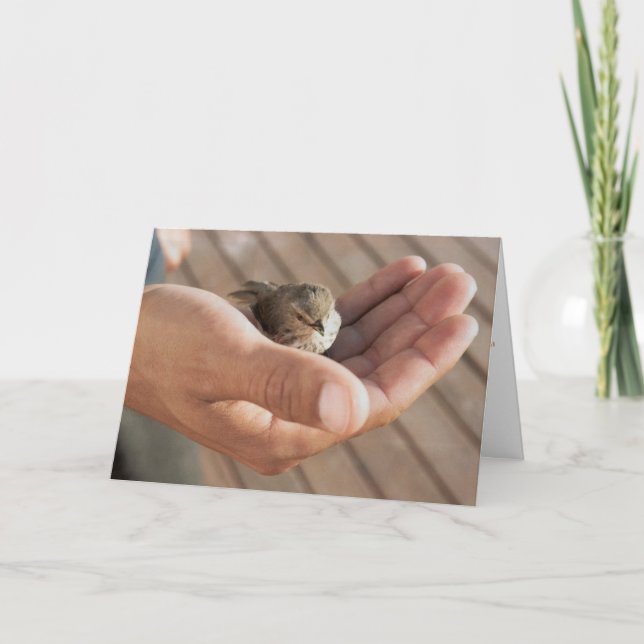 Cartão His eye is on the sparrow Christian Greeting Card (Frente)