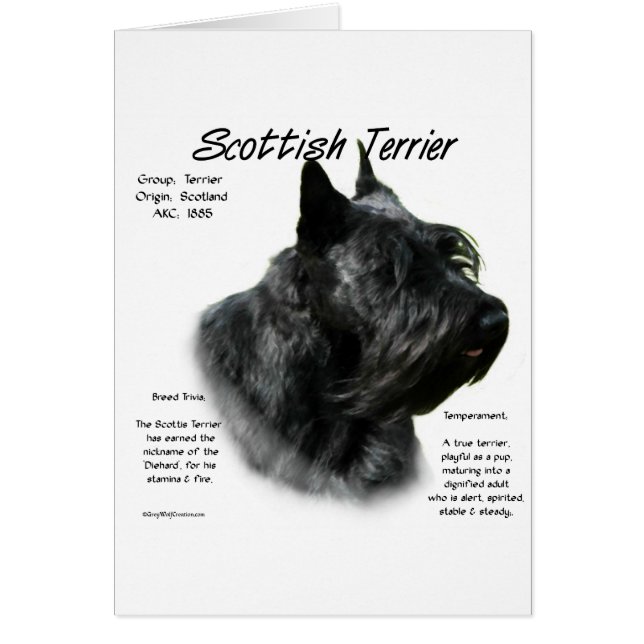 Cartão História do Scotty Negro (Frente)