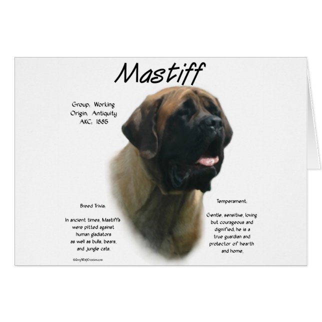 Cartão Histórico de Mastiff Apricot (Frente Horizontal)