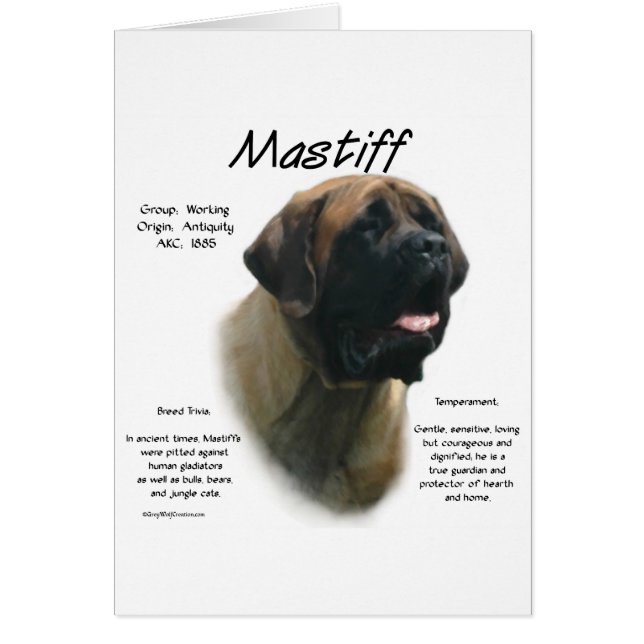 Cartão Histórico de Mastiff Apricot (Frente)