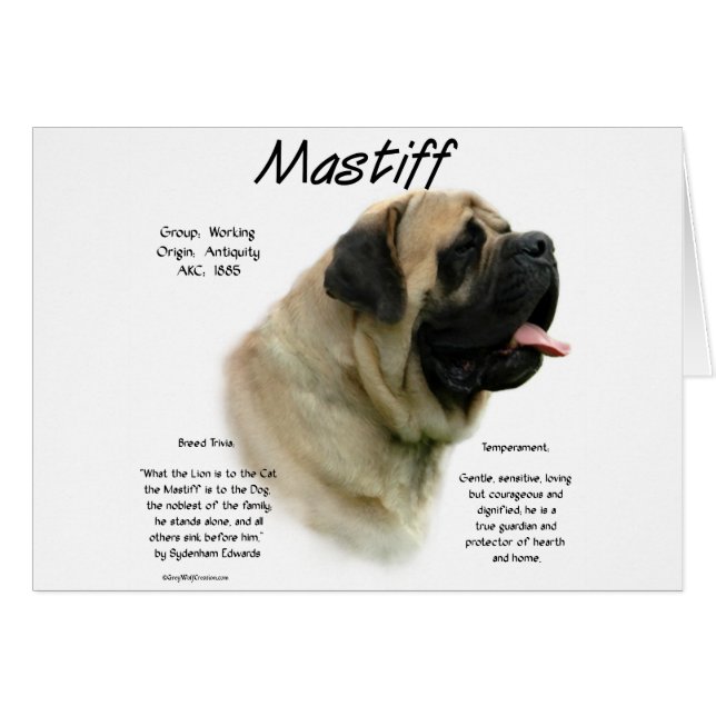 Cartão Histórico de Mastiff de Fawn (Frente Horizontal)