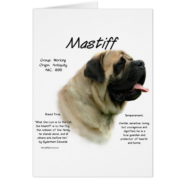 Cartão Histórico de Mastiff de Fawn (Frente)