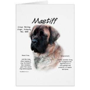 Cartão Histórico de Mastiff Fluffy do Apricot