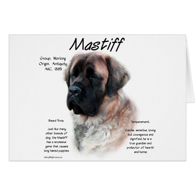Cartão Histórico de Mastiff Fluffy do Apricot (Frente Horizontal)