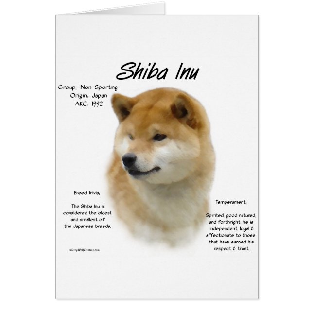 Cartão Histórico de Shiba Inu (Frente)