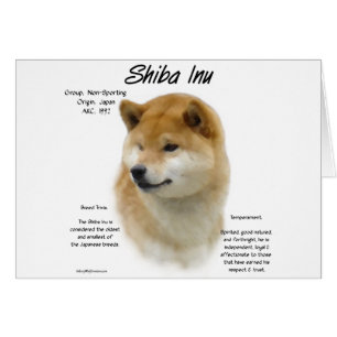 Cartão Histórico de Shiba Inu