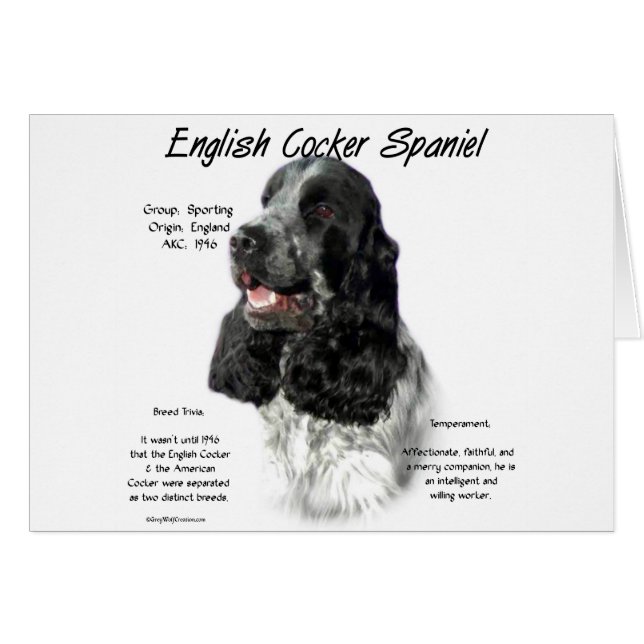 Cartão Histórico de Spaniel de Cocker em Partiinglês (Frente Horizontal)