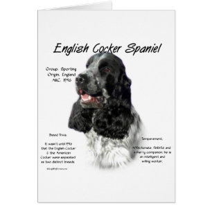 Cartão Histórico de Spaniel de Cocker em Partiinglês