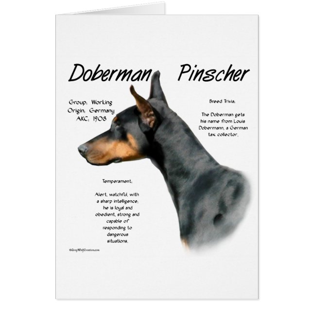 Cartão Histórico do Doberman Pinscher Negro (Frente)