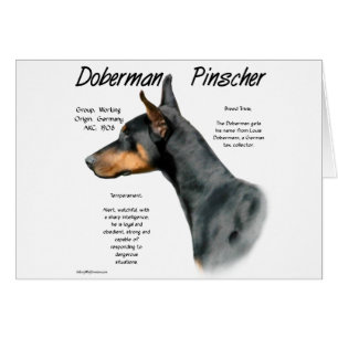 Cartão Histórico do Doberman Pinscher Negro