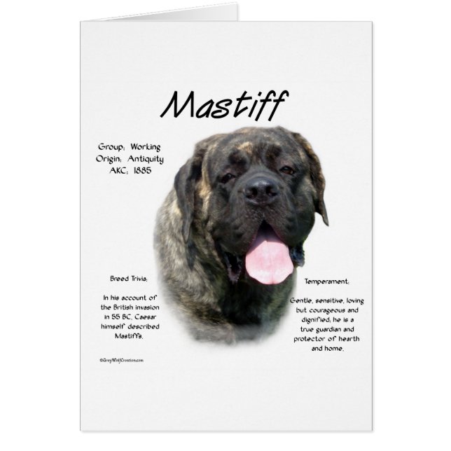Cartão Histórico do Mastiff de Brindle (Frente)
