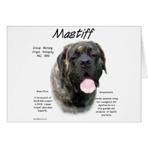 Cartão Histórico do Mastiff de Brindle