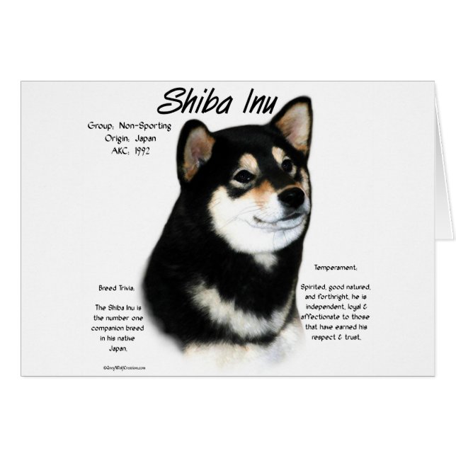 Cartão Histórico do Shiba Inu Negro (Frente Horizontal)