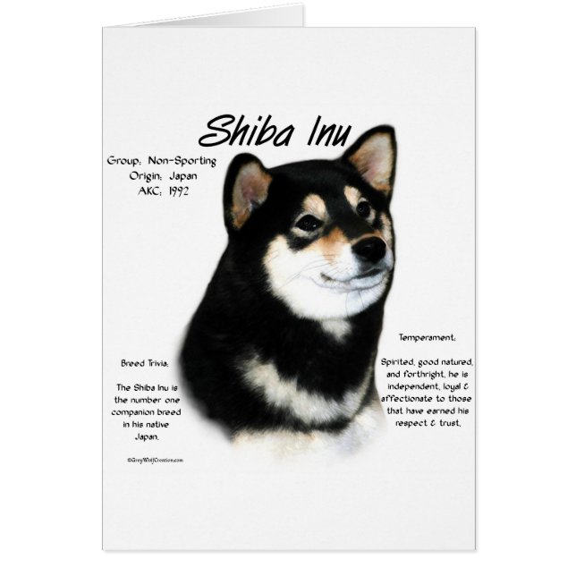 Cartão Histórico do Shiba Inu Negro (Frente)