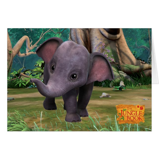 Cartão Hita (Frente Horizontal)