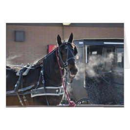 Cartão Hitch do Cavalo de inverno