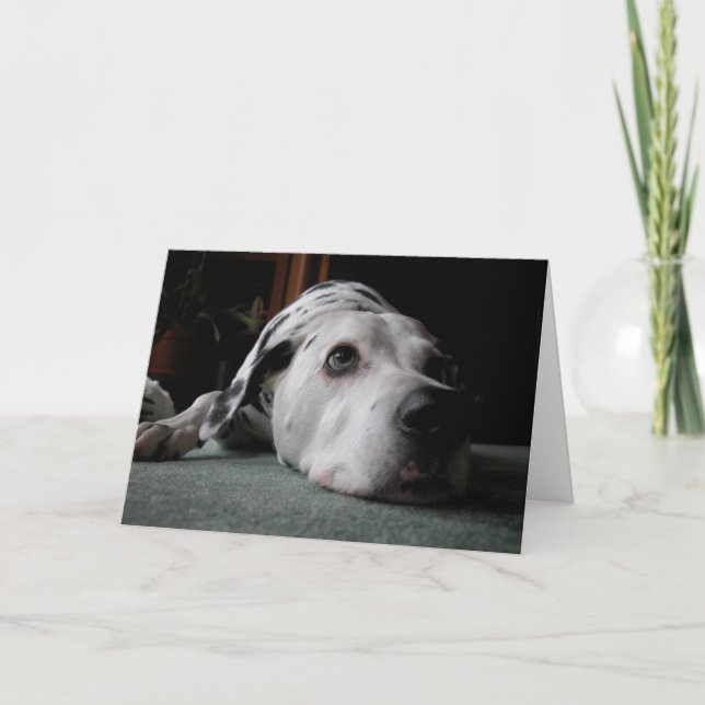 Cartão Ho hum Birthday (Frente)