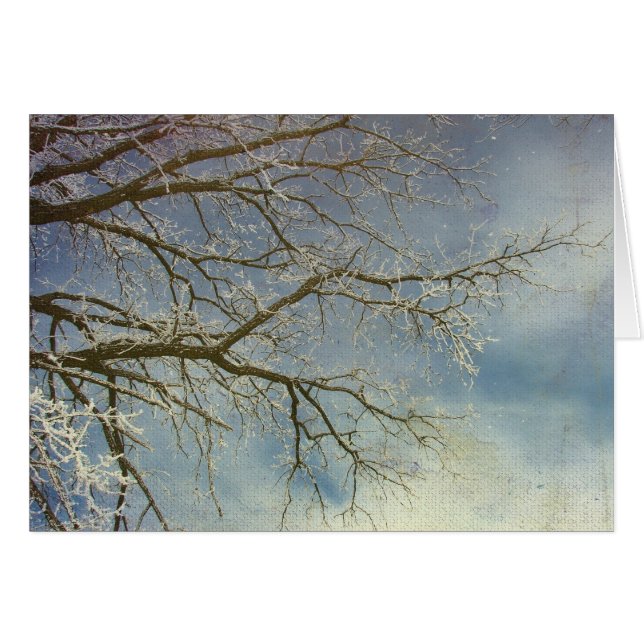 Cartão Hoar Frost, Feliz ano novo! (Frente Horizontal)