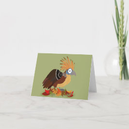 Cartão Hoatzin