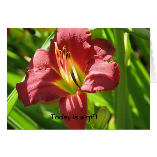 Cartão Hoje é um presente (Frente Horizontal)