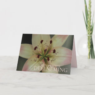 Cartão Holandesa Simpatia Rosa Tiger Lily