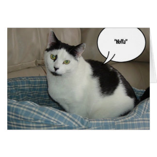 Cartão Holla