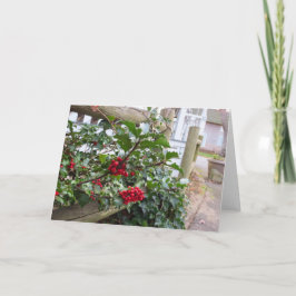 Cartão Holly Berries e Cerca - Martha's Vineyard