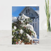 Holly Berries em neve - Martha's Vineyard