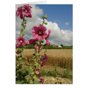 Cartão Hollyhocks