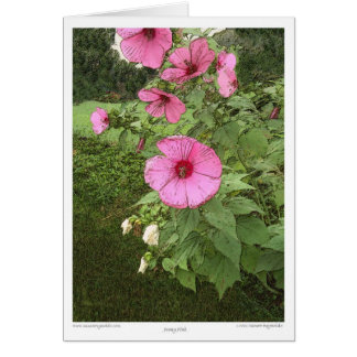 Cartão Hollyhocks