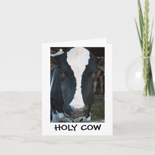 Cartão Holy Cow Birthday Card (Frente)